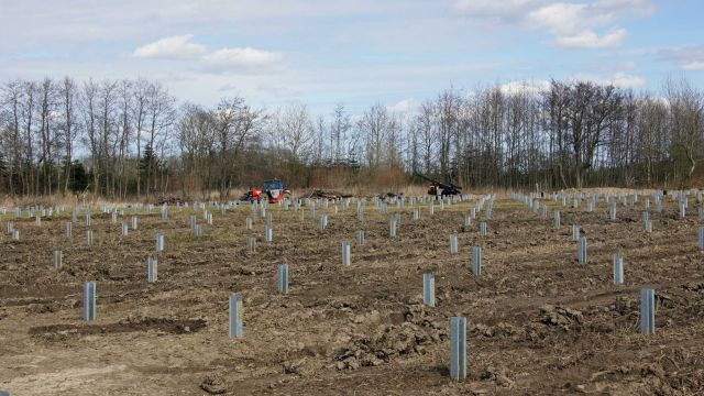 Ben til solpaneler. 04-04-2020
